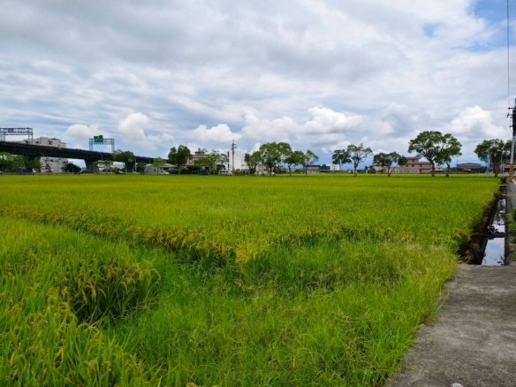 DA0020805 礁溪二龍河岸近高速公路456小農地 01
