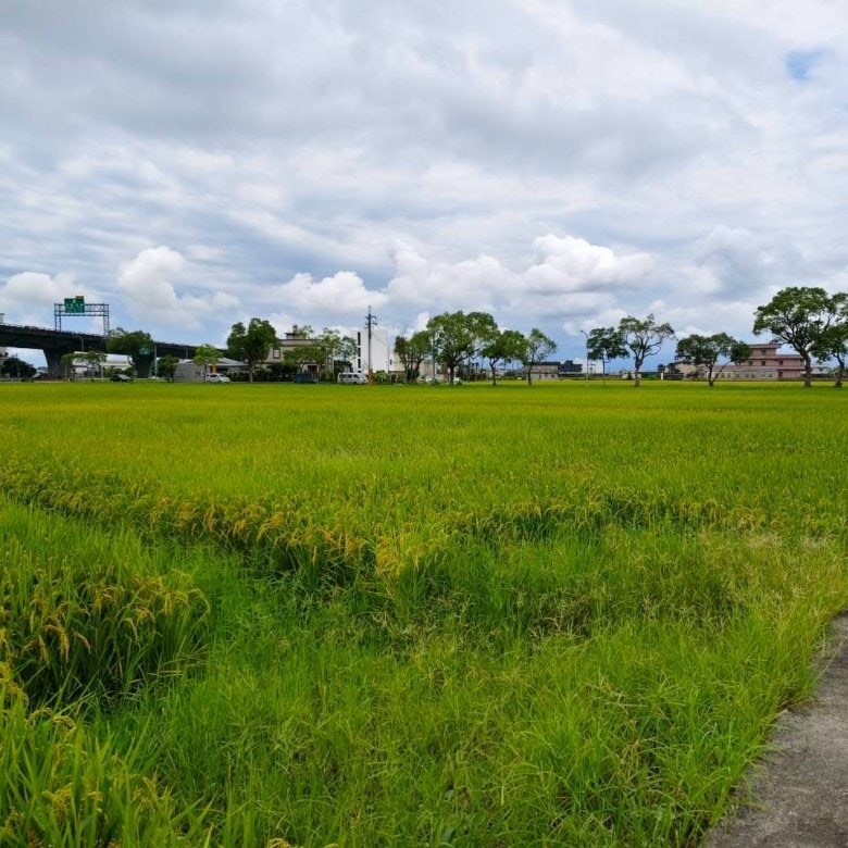 礁溪二龍河岸近高速公路456小農地