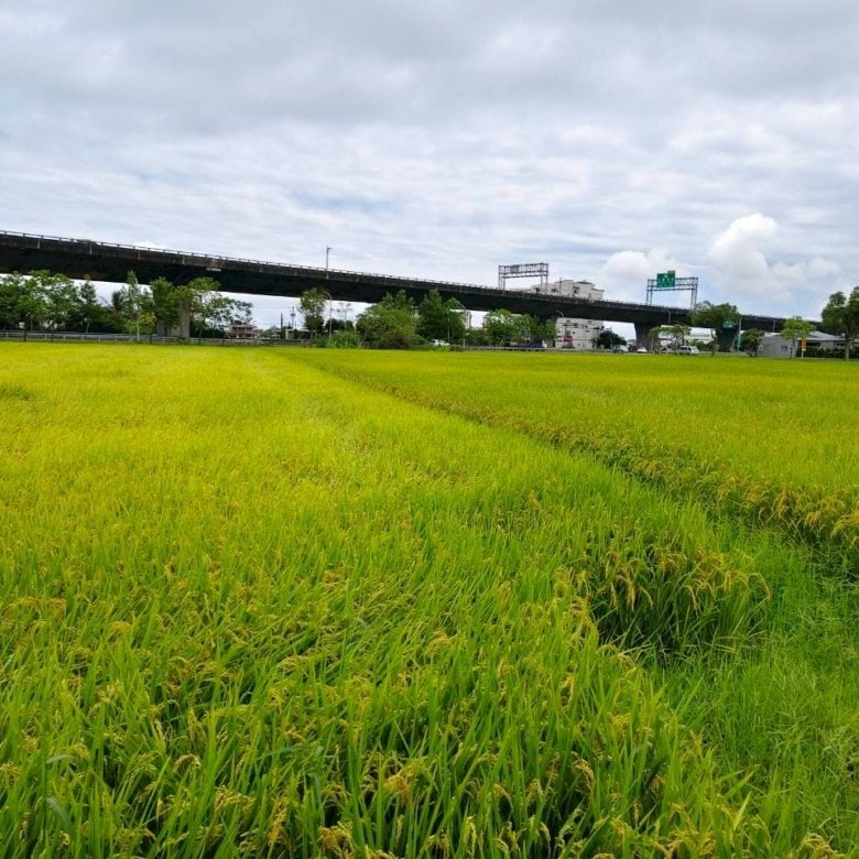 DA0020805 礁溪二龍河岸近高速公路456小農地 02