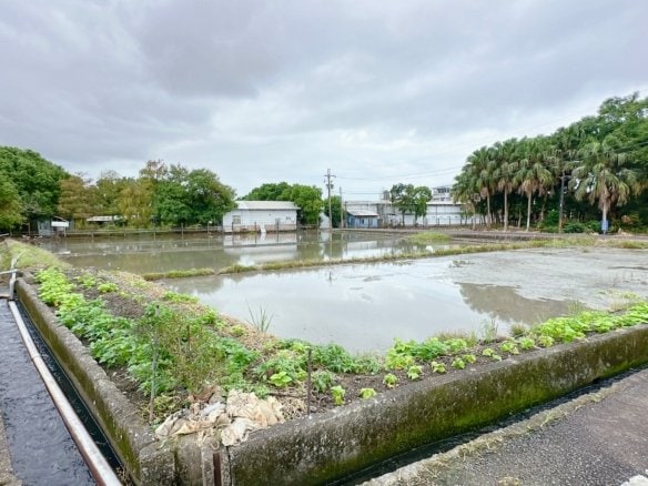 DG0020696 礁溪都計內大坪數可投資置產農地 01