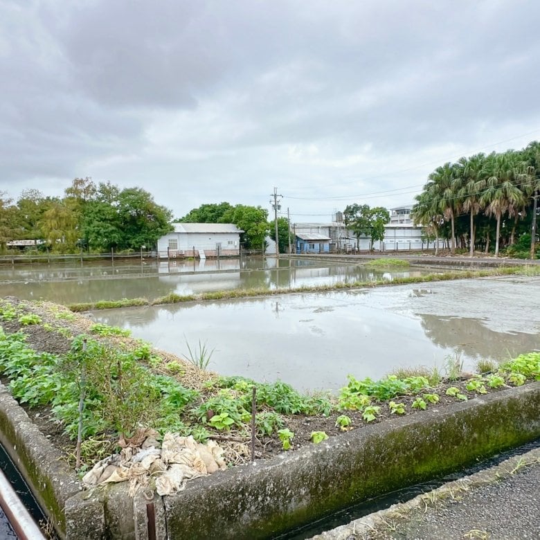 礁溪都計內大坪數可投資置產農地