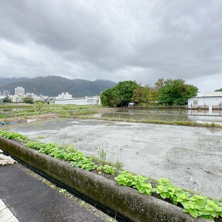 DG0020696 礁溪都計內大坪數可投資置產農地 03