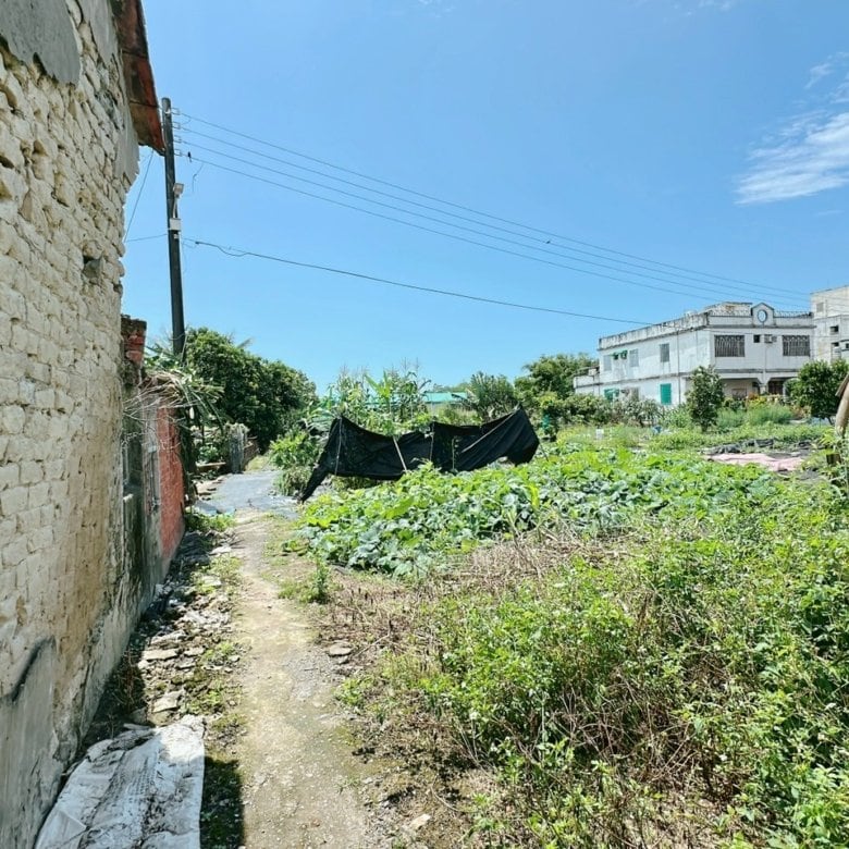 DG0032525 近頭城下埔綠色隧道大坪數建地 04