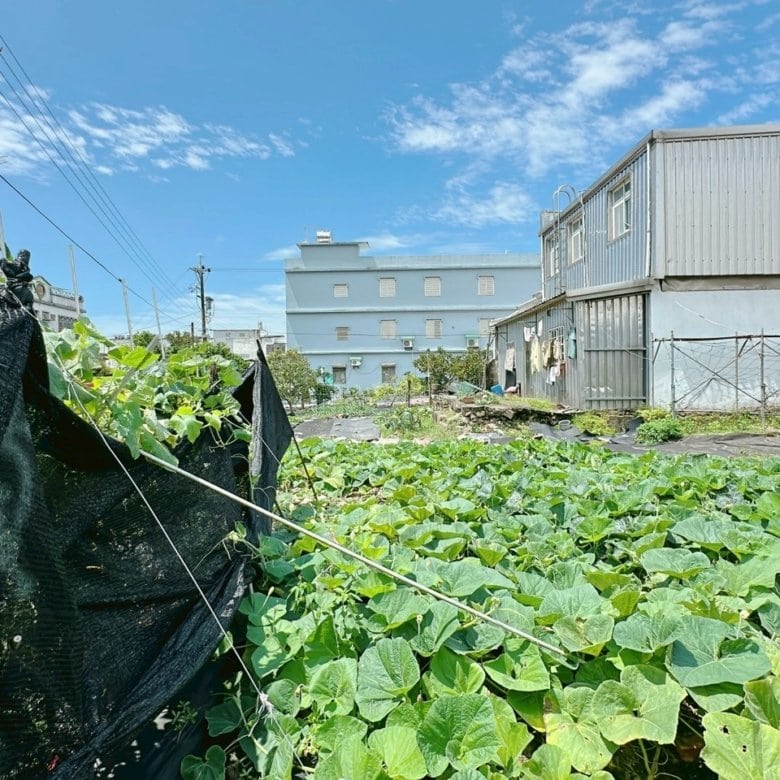 DG0032525 近頭城下埔綠色隧道大坪數建地 05