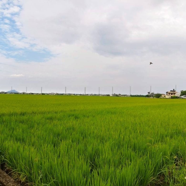 DG0035205 壯圍美福812足坪田間小巷農地 04