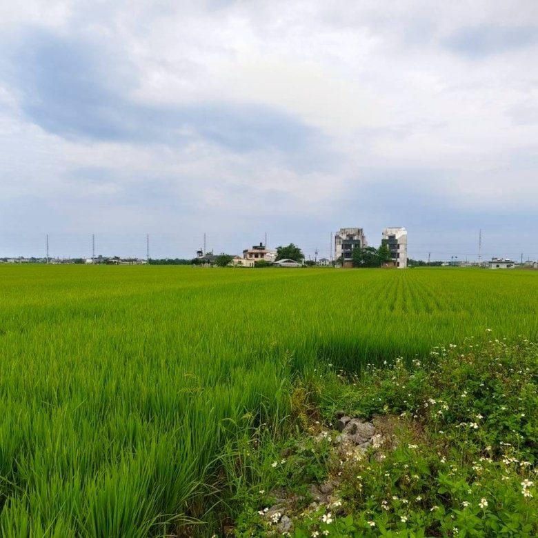 DG0035205 壯圍美福812足坪田間小巷農地 05